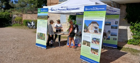 Journée mondiale de la biodiversité_Hyères