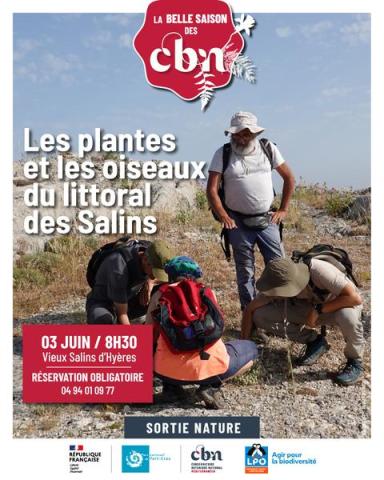 Balade nature - Les plantes et les oiseaux du littoral des Salins_Hyères