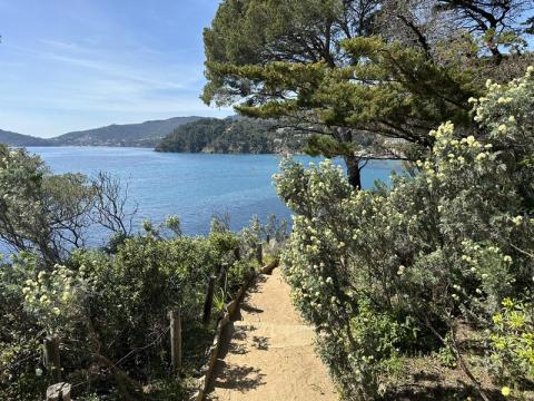 Visite thématique "La Balade Littorale"_Rayol-Canadel sur Mer