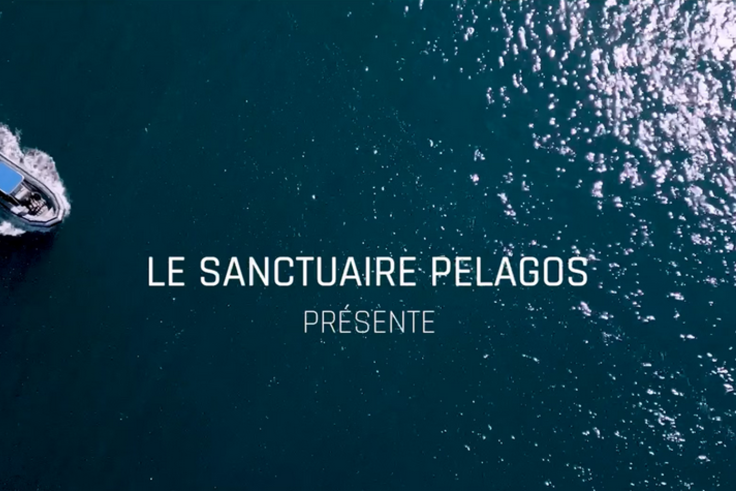 le Sanctuaire Pelagos présente