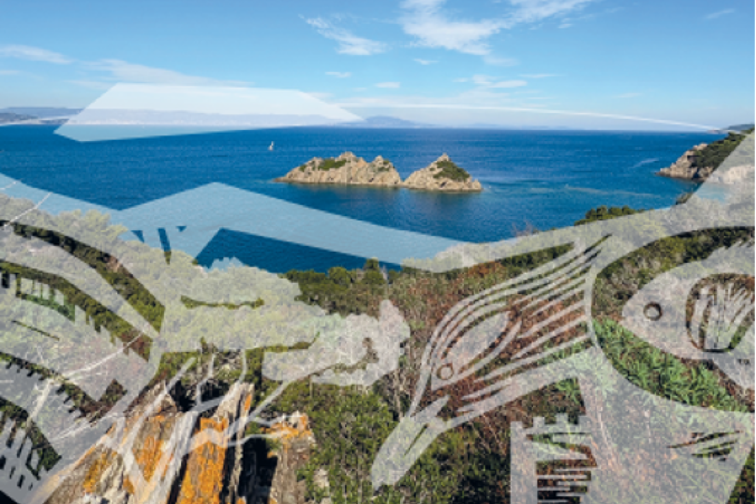 ilot du rascas entouré d'eau et nature