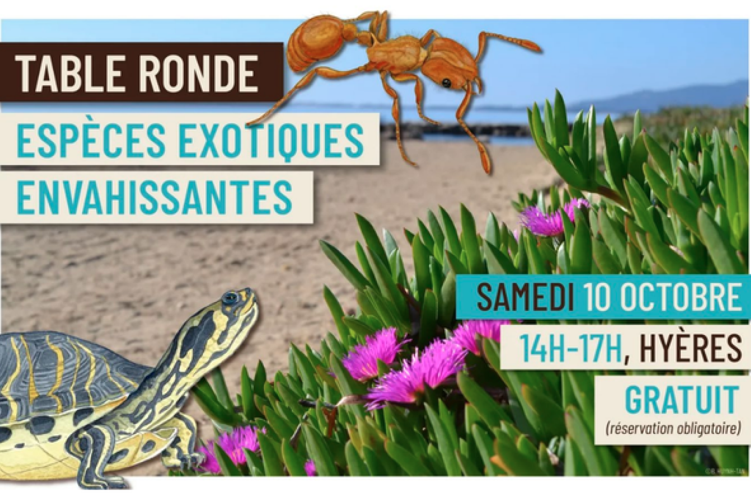 affiche table ronde avec horaires et lieu
