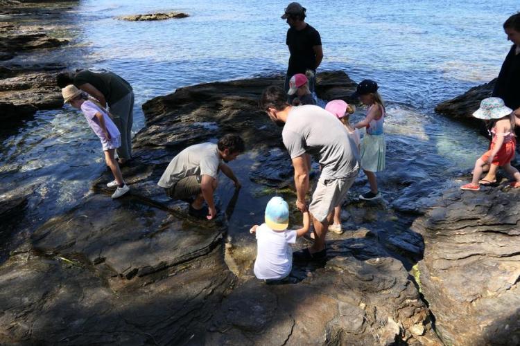 Activité enfant "Les pieds dans l'eau"_Rayol-Canadel sur Mer - Activité enfant "Les pieds dans l'eau"_Rayol-Canadel sur Mer
