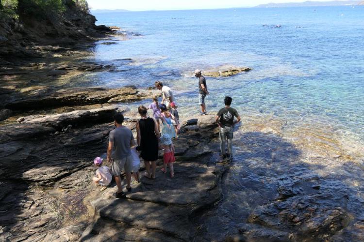 Activité enfant "Les pieds dans l'eau"_Rayol-Canadel sur Mer - Activité enfant "Les pieds dans l'eau"_Rayol-Canadel sur Mer