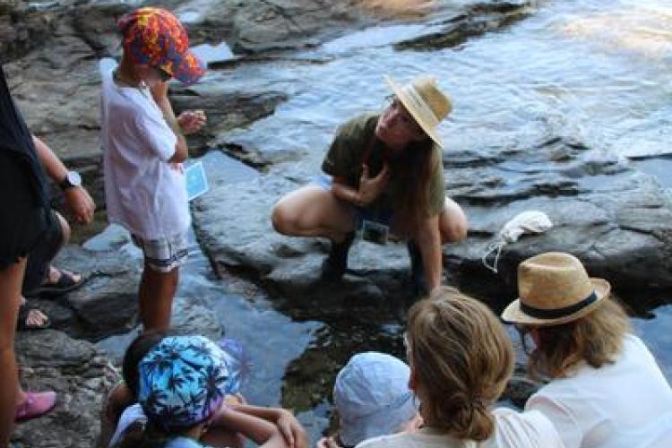 Activité enfant "Les pieds dans l'eau"_Rayol-Canadel sur Mer - Activité enfant "Les pieds dans l'eau"_Rayol-Canadel sur Mer