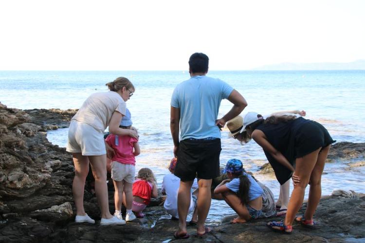 Activité enfant "Les pieds dans l'eau"_Rayol-Canadel sur Mer - Activité enfant "Les pieds dans l'eau"_Rayol-Canadel sur Mer