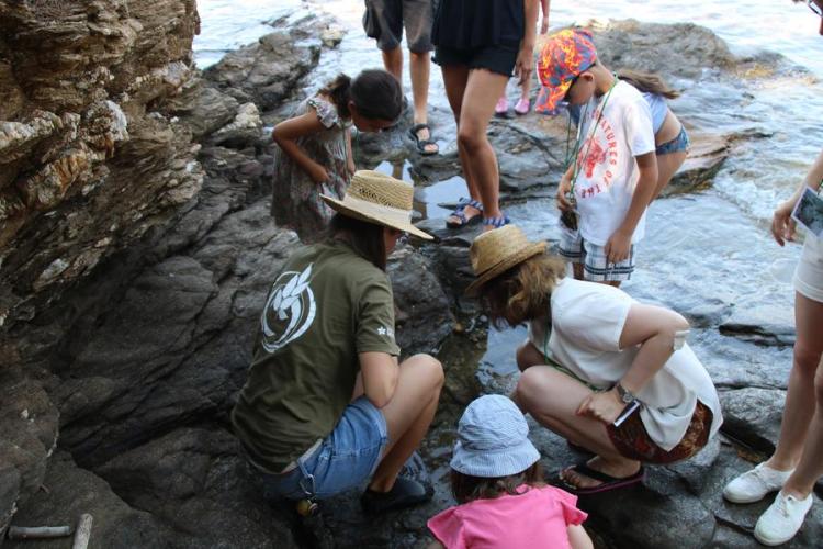 Activité enfant "Les pieds dans l'eau"_Rayol-Canadel sur Mer - Activité enfant "Les pieds dans l'eau"_Rayol-Canadel sur Mer