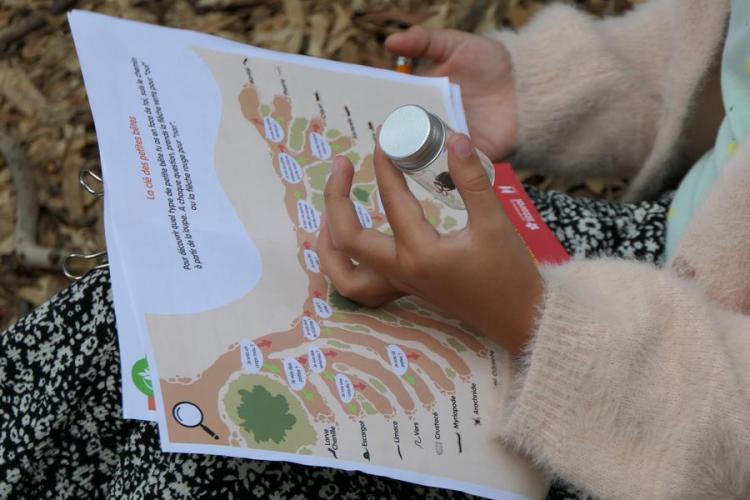 Activité enfant "Les petites bêtes de nos jardins"_Rayol-Canadel sur Mer