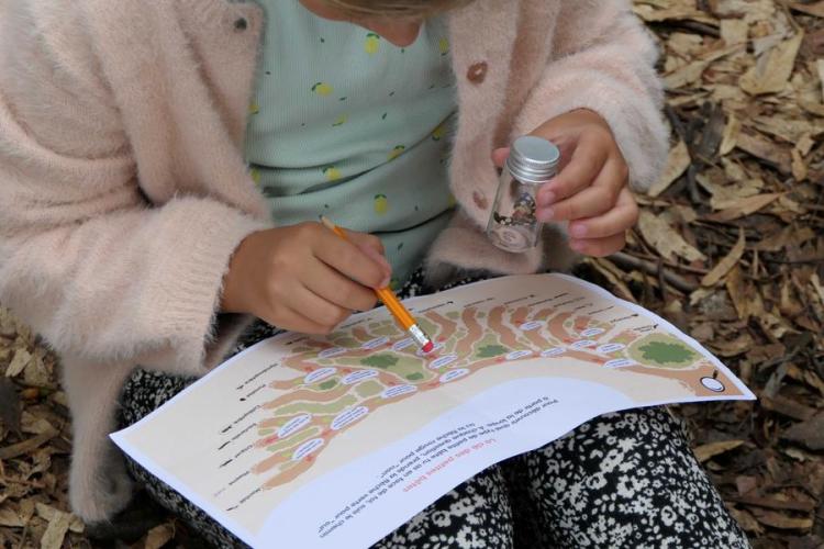 Activité enfant "Les petites bêtes de nos jardins"_Rayol-Canadel sur Mer