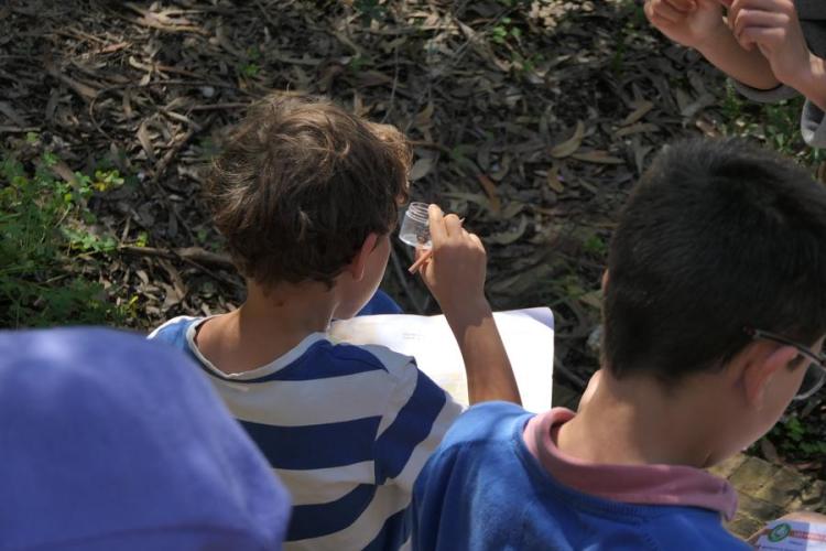 Activité enfant "Les petites bêtes de nos jardins"_Rayol-Canadel sur Mer