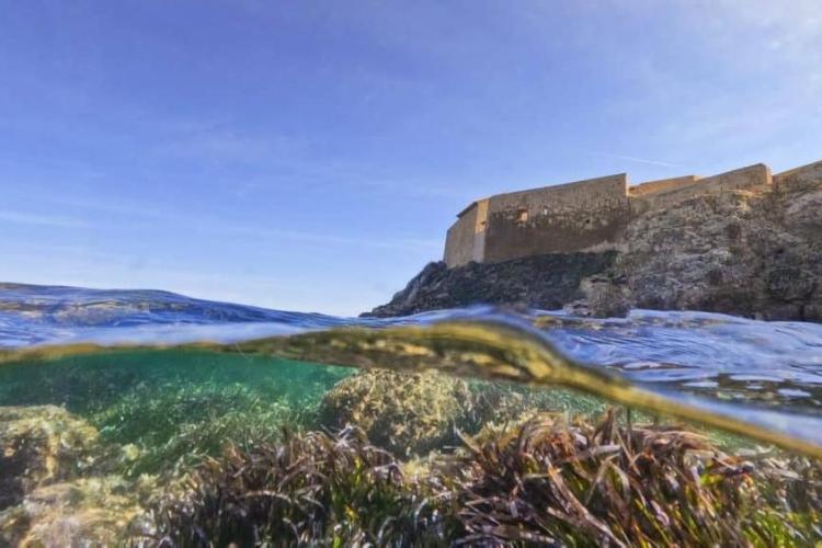 Fort du Pradeau