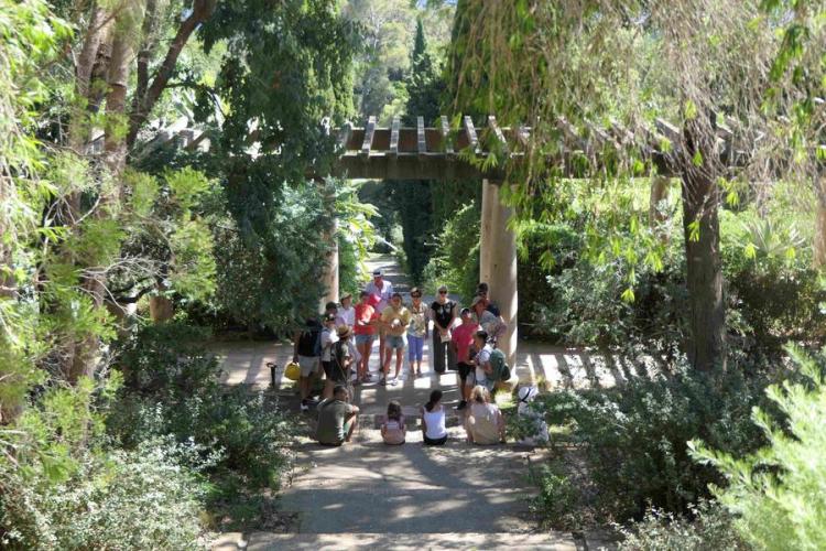 Ambiance &eacute;t&eacute; &copy; Domaine du Rayol, AT (23) - Visite guid&eacute;e du Jardin des M&eacute;diterran&eacute;es