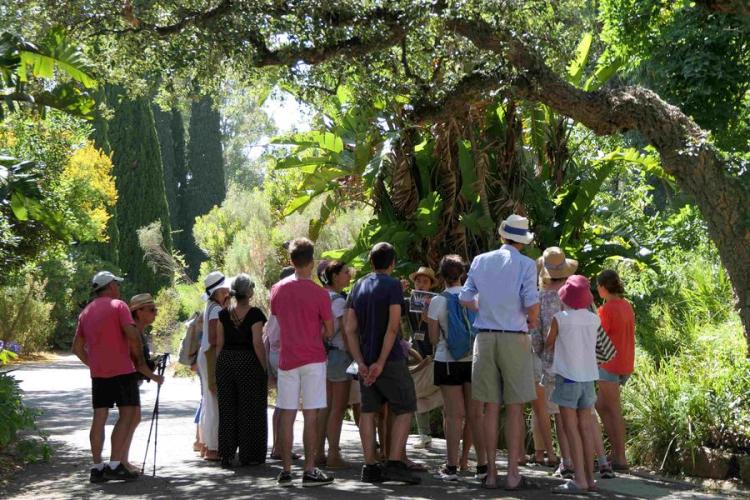 Ambiance &eacute;t&eacute; &copy; Domaine du Rayol, AT (13) - Visite guid&eacute;e du Jardin des M&eacute;diterran&eacute;es