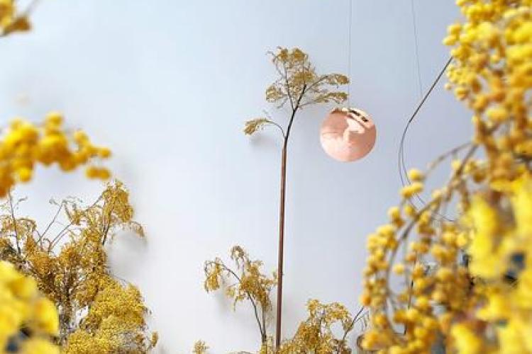 Exposition d’Ambre Cardinal "Offrande d’Azur"_Rayol-Canadel Sur Mer - Exposition d’Ambre Cardinal "Offrande d’Azur"_Rayol-Canadel Sur Mer