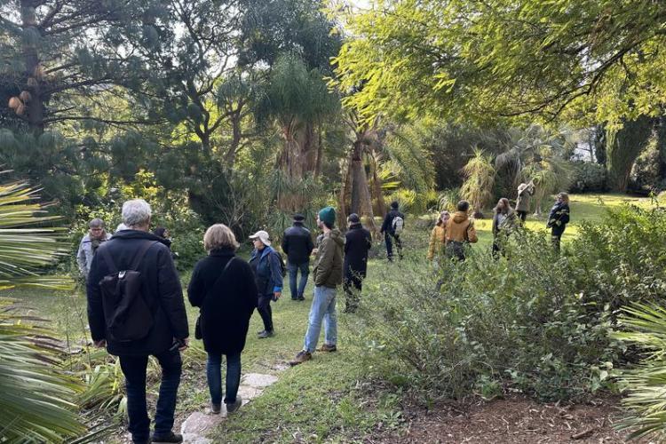 Visite thématique "Balade botanique au fil des saisons"_Rayol-Canadel-sur-Mer - Domaine du Rayol