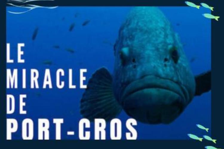 Le Miracle de Port Cros