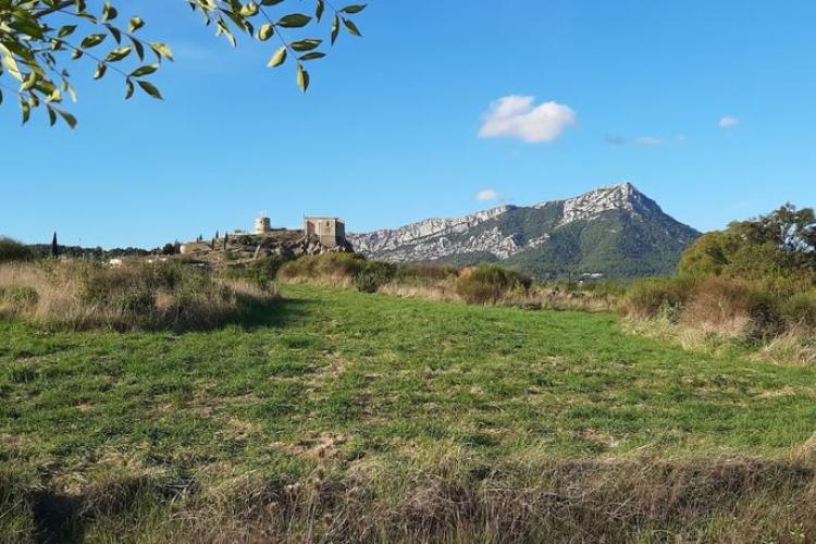 Sortie Botanistes en herbe