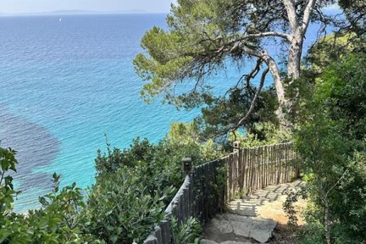 Visite thématique "La Balade Littorale"_Rayol-Canadel Sur Mer - Visite thématique "La Balade Littorale"_Rayol-Canadel Sur Mer