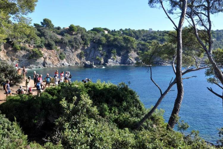 Balade randonnée sur le littoral de giens à la rencontre des oiseaux marins - Balade randonnée sur le littoral de giens à la rencontre des oiseaux marins