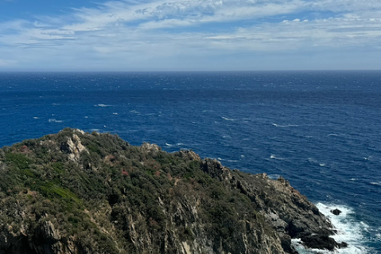 Point Rencontre : Découverte des deux Caps, Cap Lardier et Cap Taillat_La Croix-Valmer