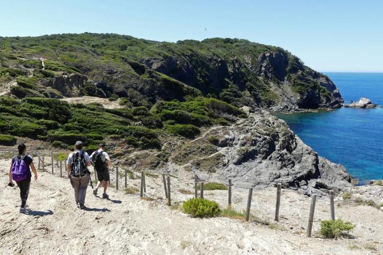 Sentier du littoral à Giens