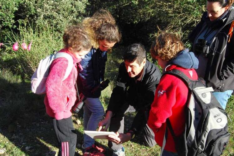 Les petits aventuriers de la forêt_Toulon