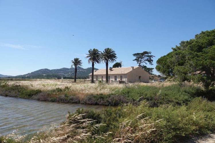 Le Tympan du salin des Pesquiers_Hyères