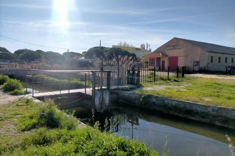 Visite guidée adaptée - Hyères Salins des Pesquiers - JNTH 2025_Hyères - b6900ad9-868a-41d6-a7f0-4e45ffd29072