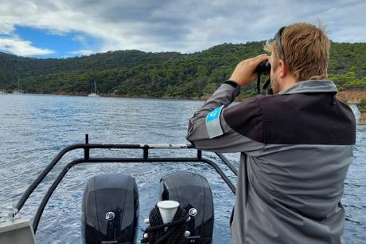 Point rencontre : Les requins en Méditerranée (Porquerolles)_Hyères - Tournée de surveillance en mer