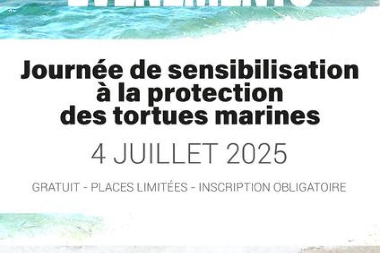Journée de la Tortue Marine_La Croix-Valmer