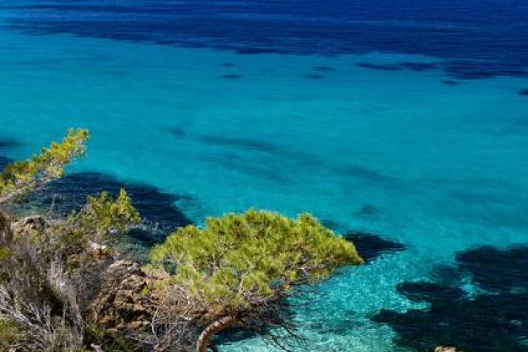 Journée de la mer : Méditerranée, un trésor à protéger_La Croix-Valmer