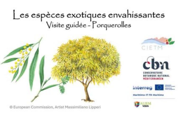 Balade nature sur l’île de Porquerolles_Hyères