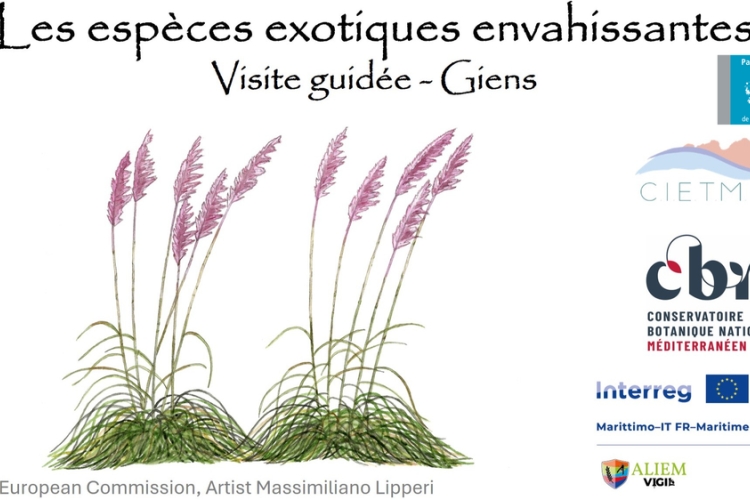 Balade nature Giens : les trésors du Var menacés_Hyères