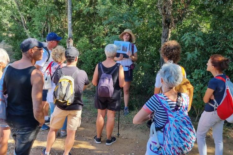 Balade nature au Pradet - Faune et flore d'ici... et d'ailleurs_Le Pradet