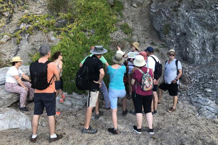 Balade nature au Pradet - Faune et flore d'ici... et d'ailleurs_Le Pradet