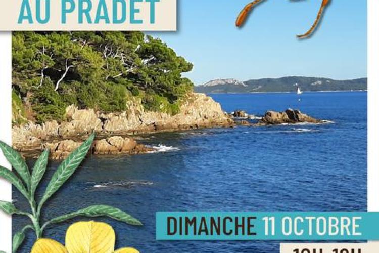 Affiche Balade nature au Pradet - Balade nature au Pradet - Faune et flore d'ici... et d'ailleurs_Le Pradet