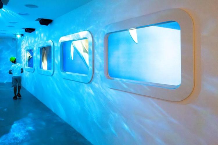 Visite guid&eacute;e | Fort du Pradeau_Hy&egrave;res