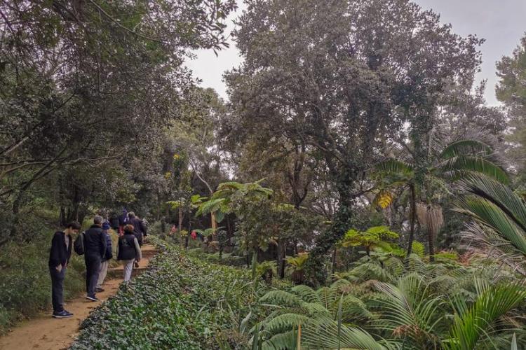 Domaine du Rayol - Visite guidée