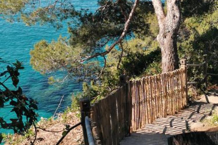 Domaine du Rayol - Sentier