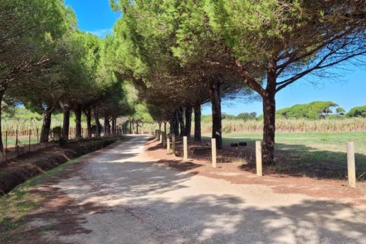 Graines de pirates : Plantes pirates et Trésors naturels de Porquerolles_Hyères