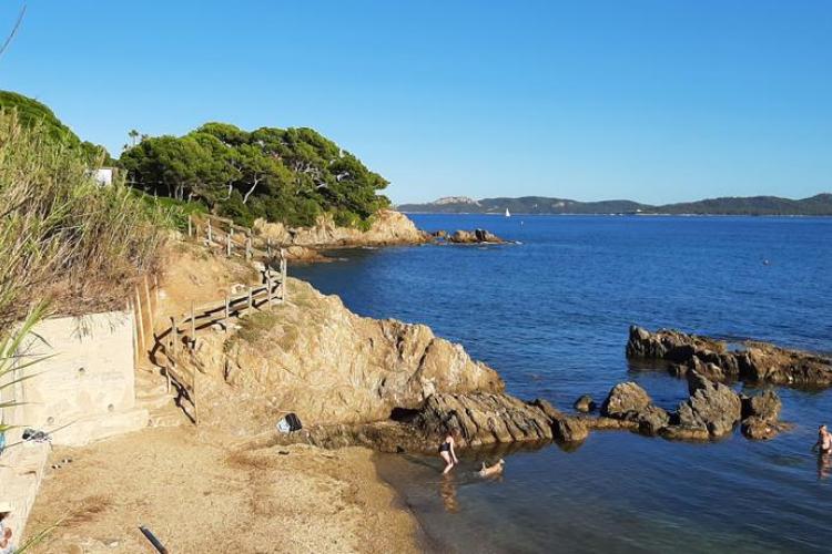 Graines de pirates &agrave; Giens : plantes pirates et tr&eacute;sors naturels_Hy&egrave;res