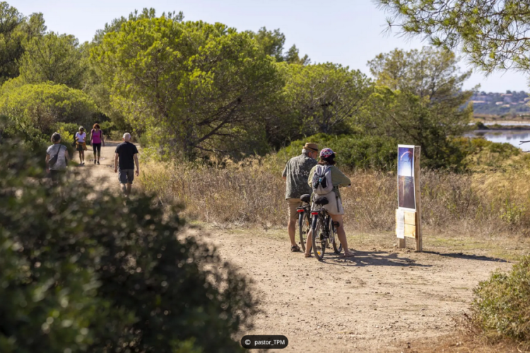 Journ&eacute;e mondiale de la biodiversit&eacute;_Hy&egrave;res
