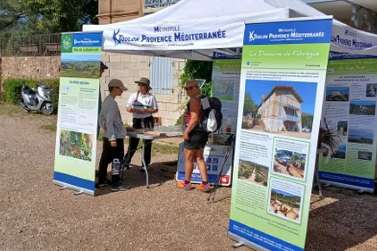 Journée mondiale de la biodiversité_Hyères