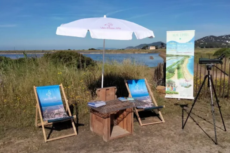 Journée mondiale de la biodiversité_Hyères