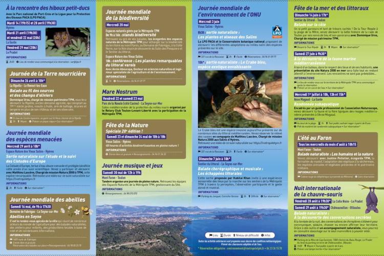 Sortie naturaliste : les plantes et oiseaux des salins - Journ&eacute;e modiale de l'environnement de l'ONU_Hy&egrave;res