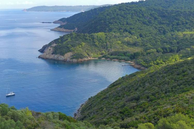 Côte nord de Port-Cros - Côte Nord PC - La Palud - Port-Cros