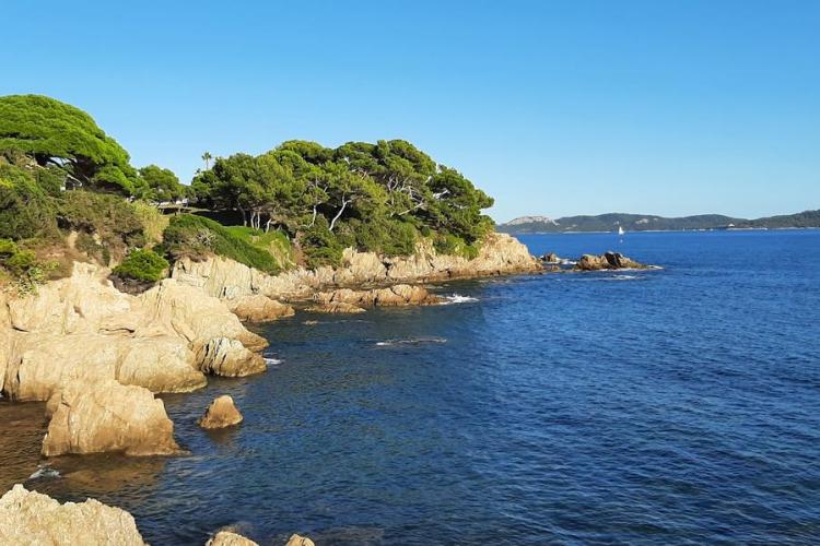 Balade nature à Giens - Faune et flore d'ici... et d'ailleurs_Hyères