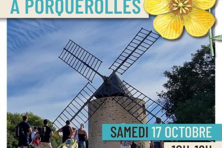 Affiche Balade nature &agrave; Porquerolles - Balade nature &agrave; Porquerolles - Faune et flore d'ici... et d'ailleurs_Hy&egrave;res