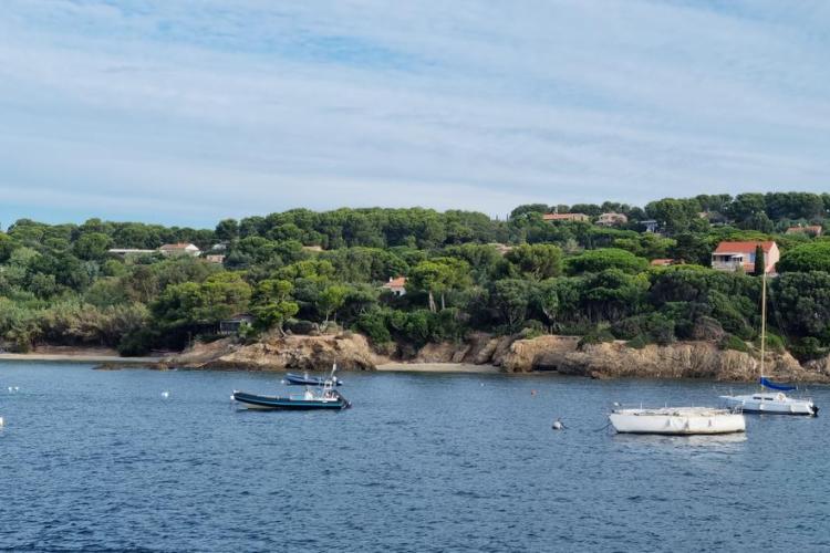Balade et atelier peinture au Pradet - Faune et flore d'ici... et d'ailleurs_Le Pradet
