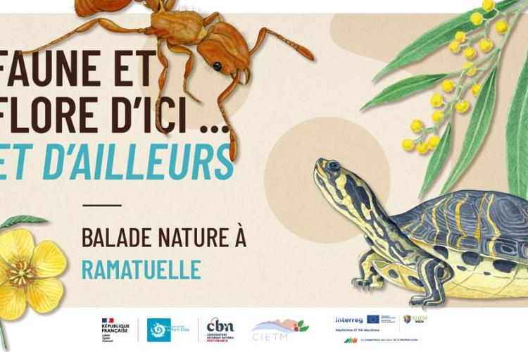 Balade à Ramatuelle - Faune et flore d'ici... et d'ailleurs_Ramatuelle